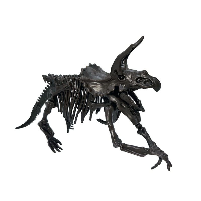 DIY Assorted Dinosaur Fossils - Kiddiez Corner