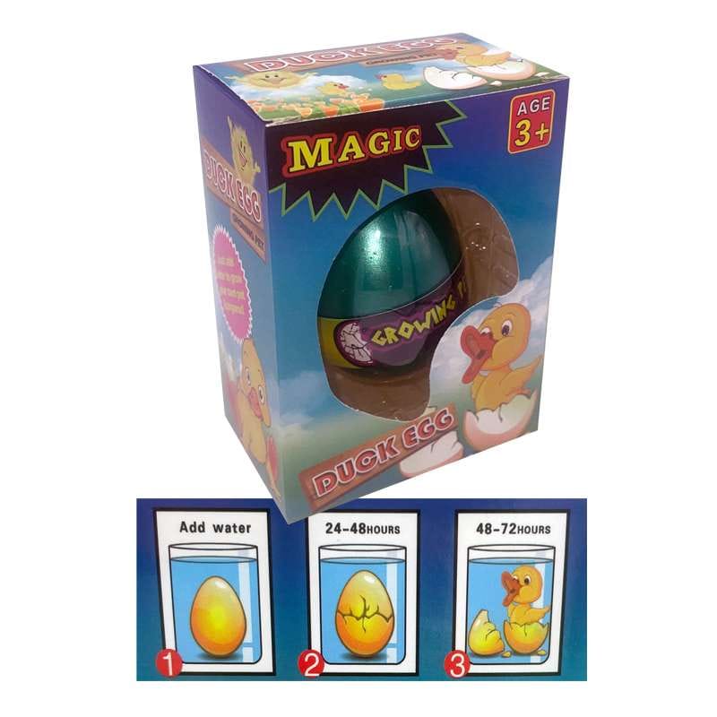 Growing Duck Egg - Kiddiez Corner