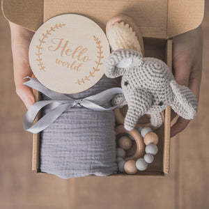 Baby Teething Gift Set - Kiddiez Corner